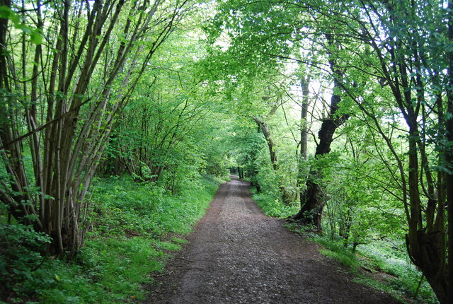 Trosley Country Park